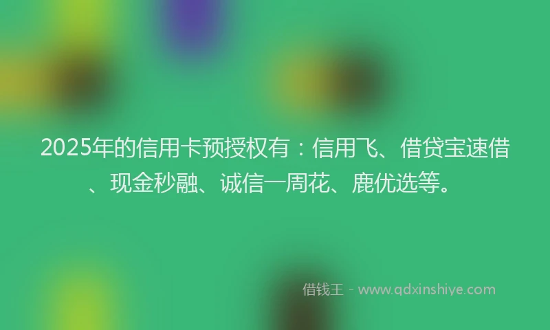 2025年的信用卡预授权有：信用飞、借贷宝速借、现金秒融、诚信一周花、鹿优选等。