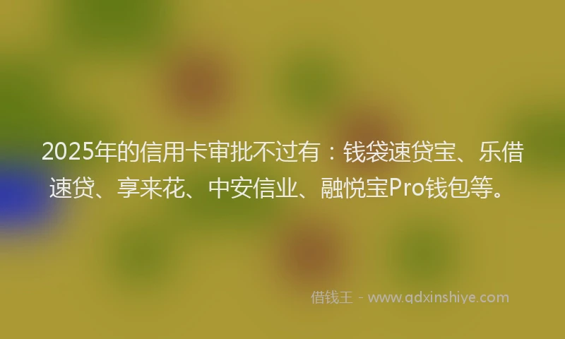 2025年的信用卡审批不过有：钱袋速贷宝、乐借速贷、享来花、中安信业、融悦宝Pro钱包等。