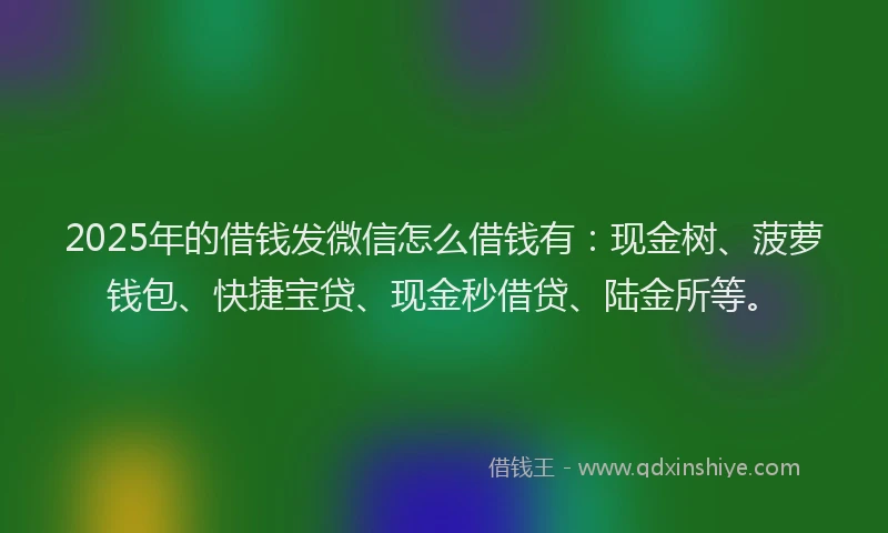 2025年的借钱发微信怎么借钱有：现金树、菠萝钱包、快捷宝贷、现金秒借贷、陆金所等。