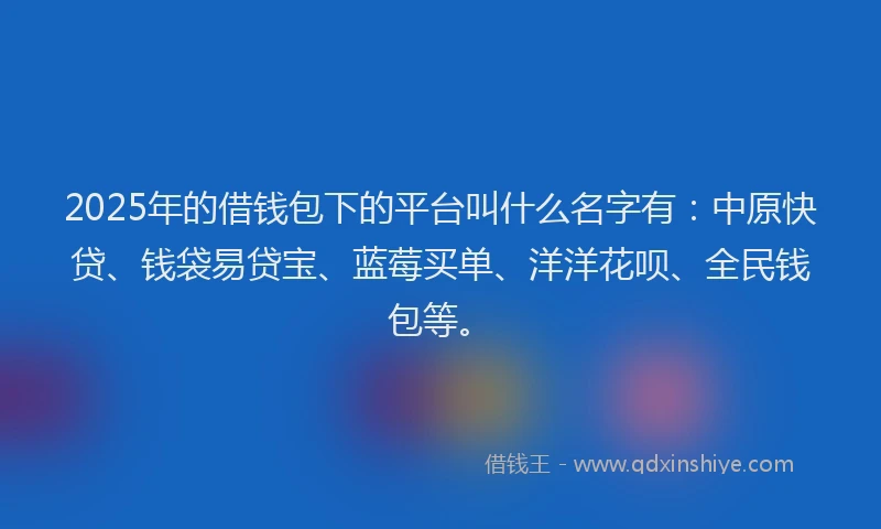 2025年的借钱包下的平台叫什么名字有:中原快贷、钱袋易贷宝、蓝莓买单、洋洋花呗、全民钱包等。