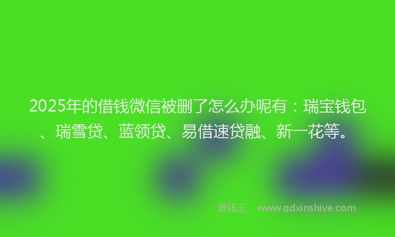 2025年的借钱微信被删了怎么办呢有：瑞宝钱包、瑞雪贷、蓝领贷、易借速贷融、新一花等。