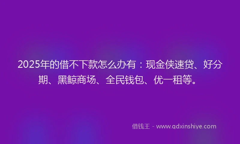 2025年的借不下款怎么办有：现金侠速贷、好分期、黑鲸商场、全民钱包、优一租等。