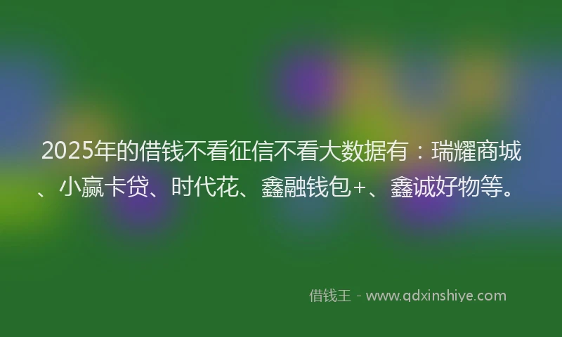 2025年的借钱不看征信不看大数据有：瑞耀商城、小赢卡贷、时代花、鑫融钱包+、鑫诚好物等。