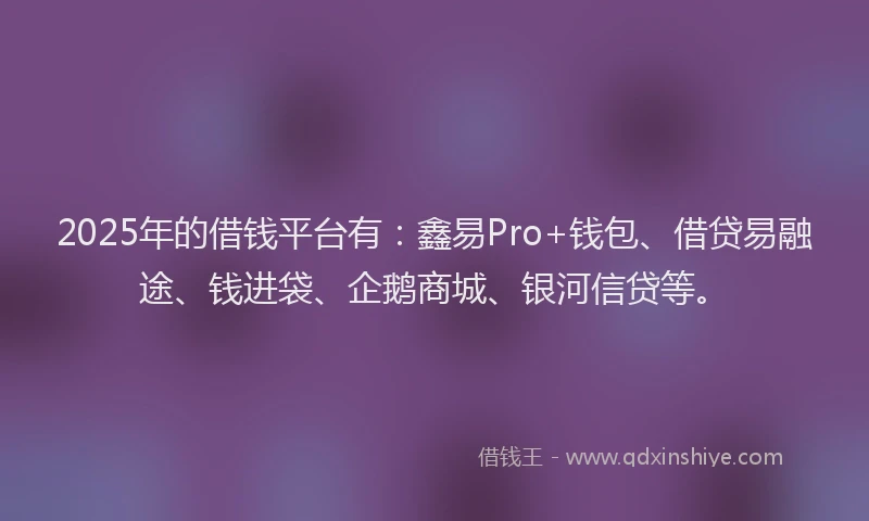 2025年的借钱平台有：鑫易Pro+钱包、借贷易融途、钱进袋、企鹅商城、银河信贷等。