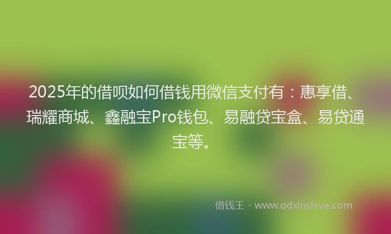 2025年的借呗如何借钱用微信支付有：惠享借、瑞耀商城、鑫融宝Pro钱包、易融贷宝盒、易贷通宝等。