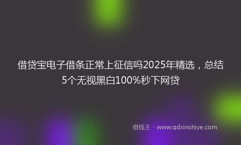 借贷宝电子借条正常上征信吗2025年精选，总结5个无视黑白100%秒下网贷