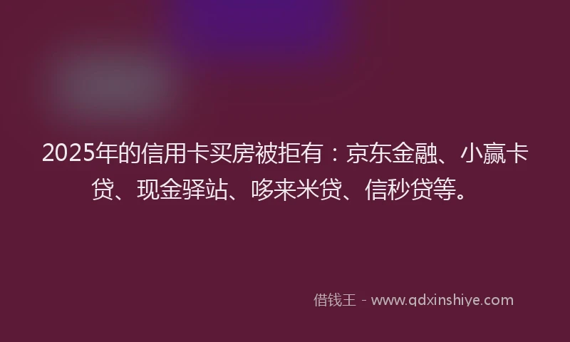 2025年的信用卡买房被拒有：京东金融、小赢卡贷、现金驿站、哆来米贷、信秒贷等。