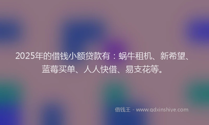 2025年的借钱小额贷款有：蜗牛租机、新希望、蓝莓买单、人人快借、易支花等。