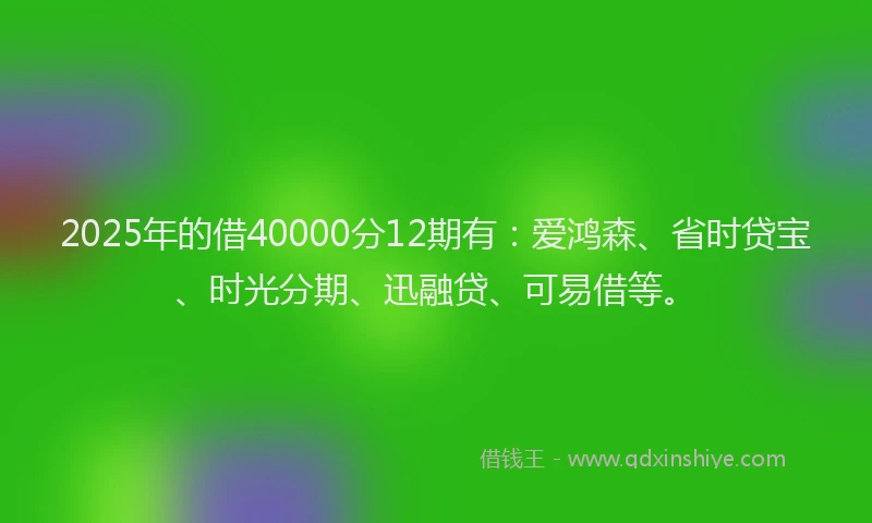 2025年的借40000分12期有：爱鸿森、省时贷宝、时光分期、迅融贷、可易借等。