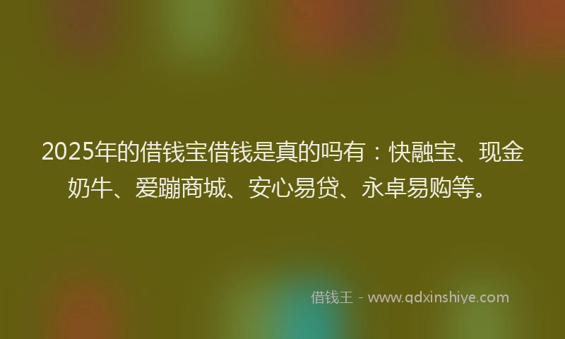 2025年的借钱宝借钱是真的吗有：快融宝、现金奶牛、爱蹦商城、安心易贷、永卓易购等。