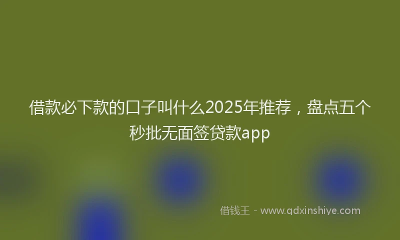 借款必下款的口子叫什么2025年推荐，盘点五个秒批无面签贷款app