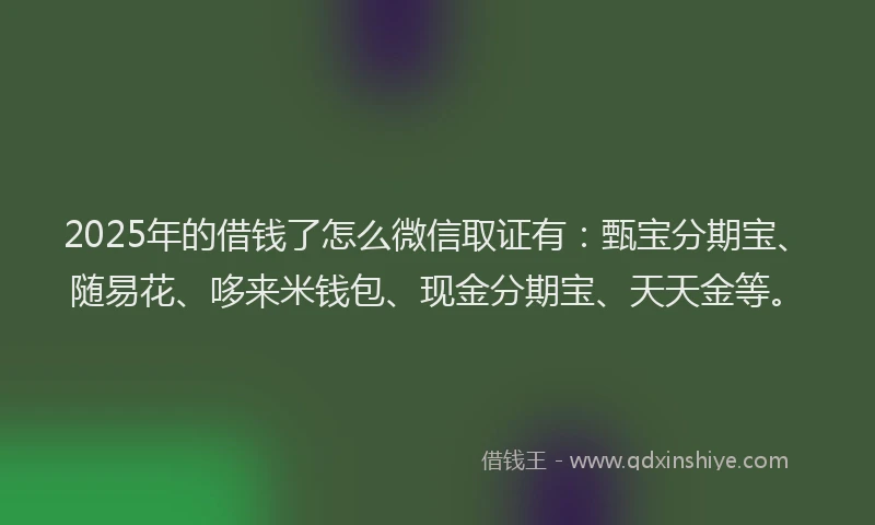 2025年的借钱了怎么微信取证有：甄宝分期宝、随易花、哆来米钱包、现金分期宝、天天金等。