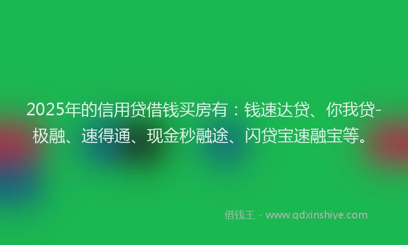 2025年的信用贷借钱买房有：钱速达贷、你我贷-极融、速得通、现金秒融途、闪贷宝速融宝等。