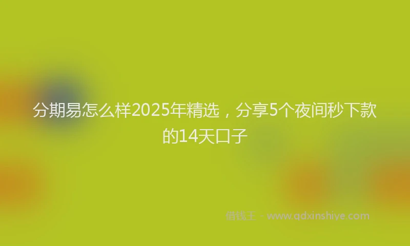 分期易怎么样2025年精选，分享5个夜间秒下款的14天口子