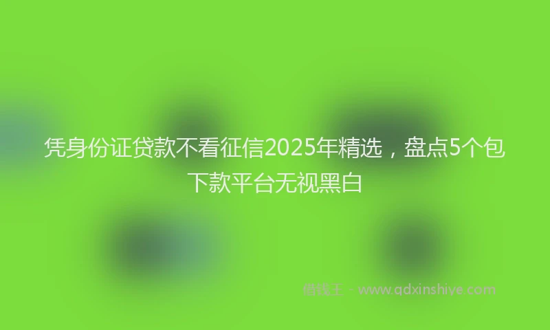 凭身份证贷款不看征信2025年精选，盘点5个包下款平台无视黑白