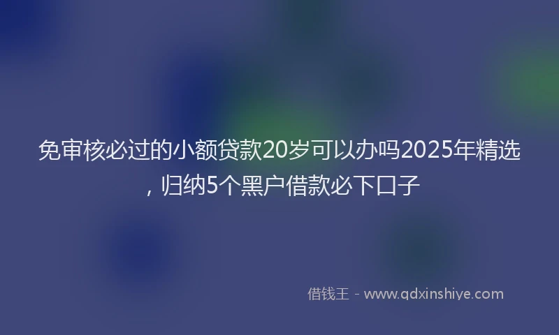 免审核必过的小额贷款20岁可以办吗2025年精选，归纳5个黑户借款必下口子