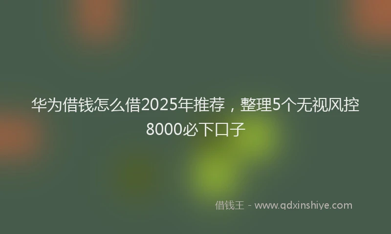 华为借钱怎么借2025年推荐，整理5个无视风控8000必下口子