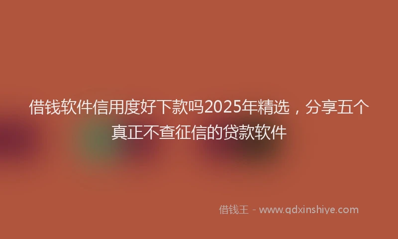 借钱软件信用度好下款吗2025年精选，分享五个真正不查征信的贷款软件
