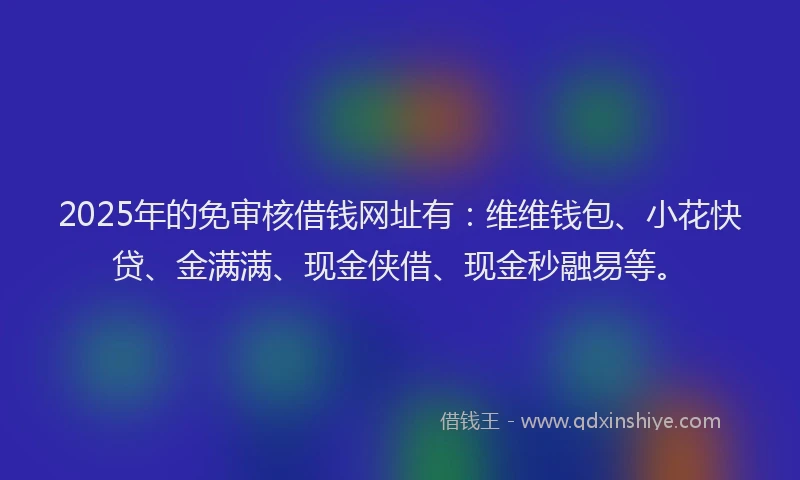 2025年的免审核借钱网址有：维维钱包、小花快贷、金满满、现金侠借、现金秒融易等。