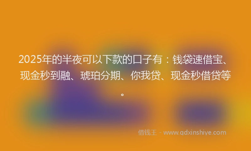 2025年的半夜可以下款的口子有：钱袋速借宝、现金秒到融、琥珀分期、你我贷、现金秒借贷等。