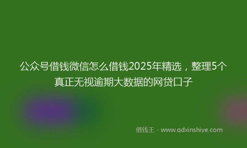 公众号借钱微信怎么借钱2025年精选，整理5个真正无视逾期大数据的网贷口子