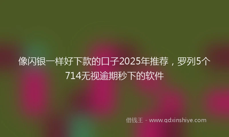像闪银一样好下款的口子2025年推荐，罗列5个714无视逾期秒下的软件