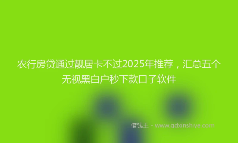 农行房贷通过靓居卡不过2025年推荐，汇总五个无视黑白户秒下款口子软件