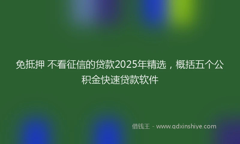 免抵押 不看征信的贷款2025年精选，概括五个公积金快速贷款软件