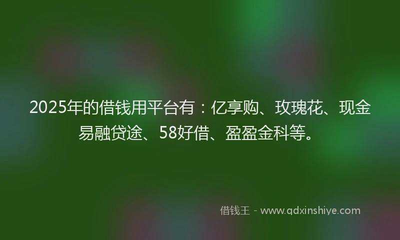 2025年的借钱用平台有：亿享购、玫瑰花、现金易融贷途、58好借、盈盈金科等。