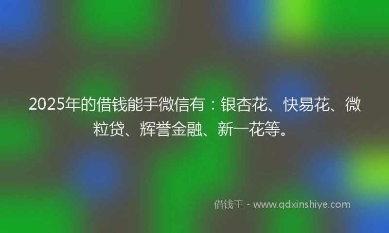 2025年的借钱能手微信有：银杏花、快易花、微粒贷、辉誉金融、新一花等。