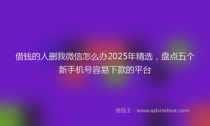 借钱的人删我微信怎么办2025年精选，盘点五个新手机号容易下款的平台