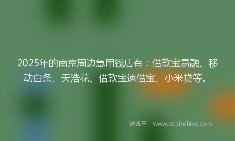 2025年的南京周边急用钱店有：借款宝易融、移动白条、天浩花、借款宝速借宝、小米贷等。