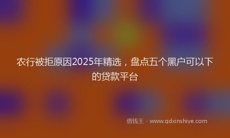 农行被拒原因2025年精选，盘点五个黑户可以下的贷款平台