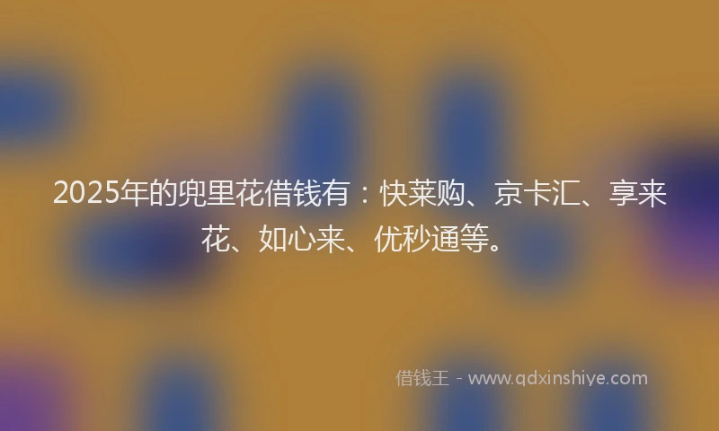 2025年的兜里花借钱有：快莱购、京卡汇、享来花、如心来、优秒通等。
