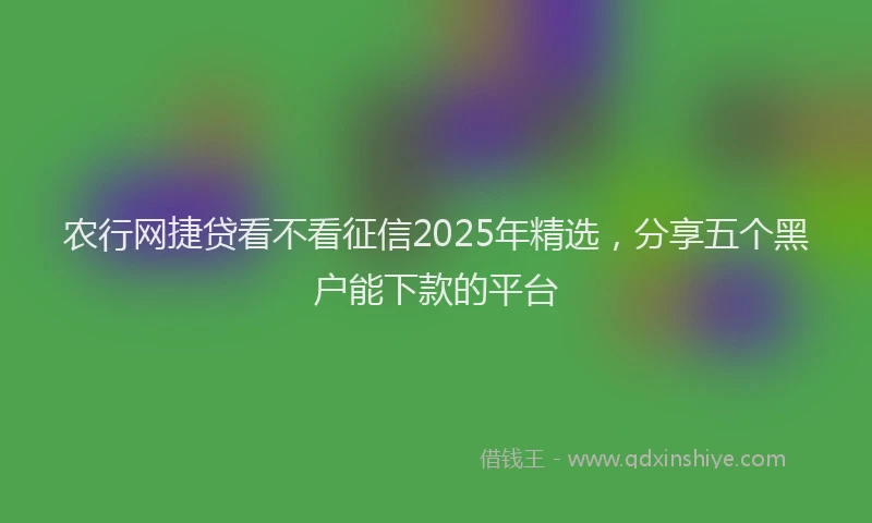 农行网捷贷看不看征信2025年精选，分享五个黑户能下款的平台