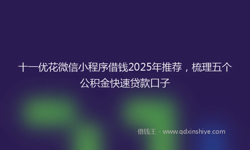 十一优花微信小程序借钱2025年推荐，梳理五个公积金快速贷款口子