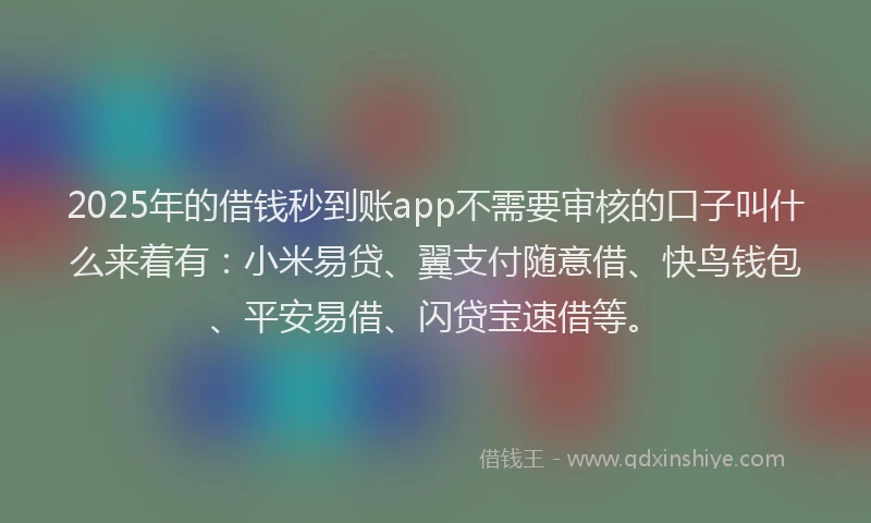 2025年的借钱秒到账app不需要审核的口子叫什么来着有：小米易贷、翼支付随意借、快鸟钱包、平安易借、闪贷宝速借等。
