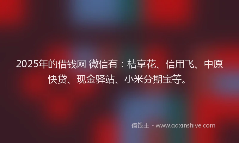 2025年的借钱网 微信有：桔享花、信用飞、中原快贷、现金驿站、小米分期宝等。