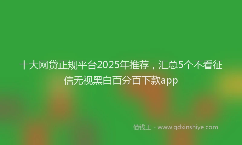 十大网贷正规平台2025年推荐，汇总5个不看征信无视黑白百分百下款app