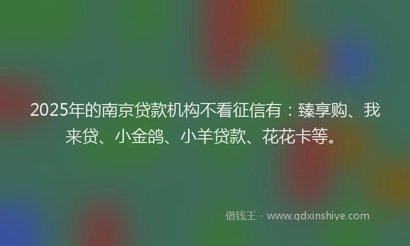 2025年的南京贷款机构不看征信有：臻享购、我来贷、小金鸽、小羊贷款、花花卡等。