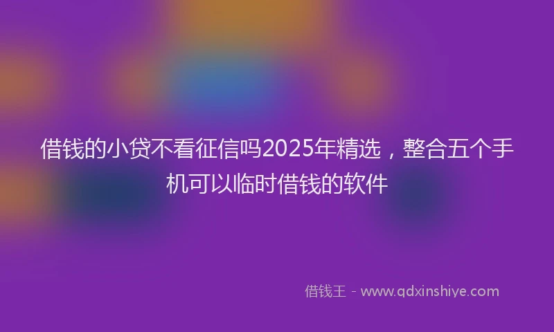 借钱的小贷不看征信吗2025年精选，整合五个手机可以临时借钱的软件