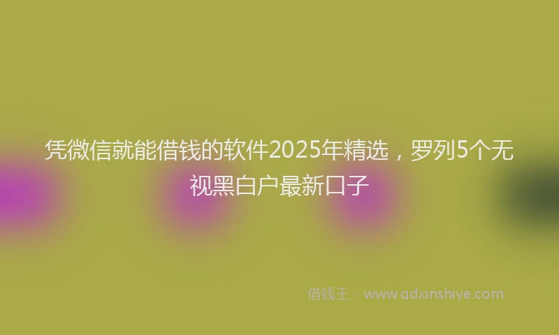 凭微信就能借钱的软件2025年精选，罗列5个无视黑白户最新口子