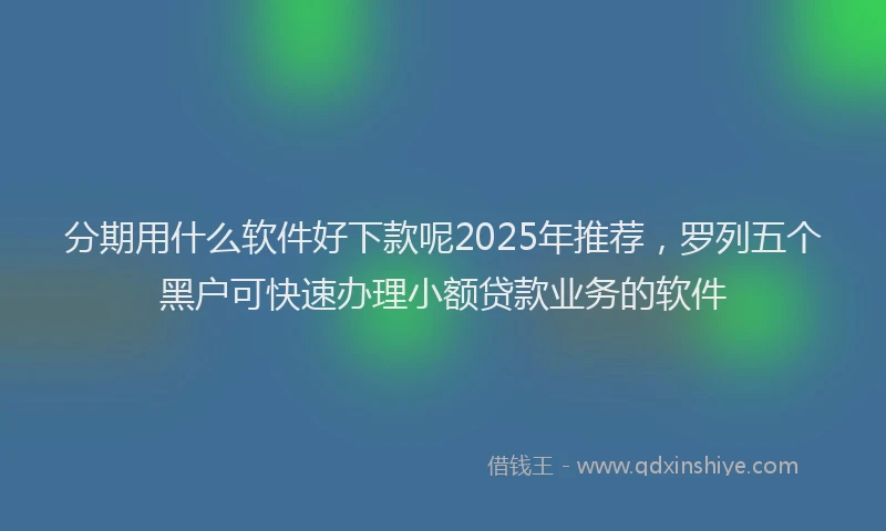 分期用什么软件好下款呢2025年推荐，罗列五个黑户可快速办理小额贷款业务的软件