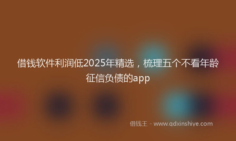 借钱软件利润低2025年精选，梳理五个不看年龄征信负债的app