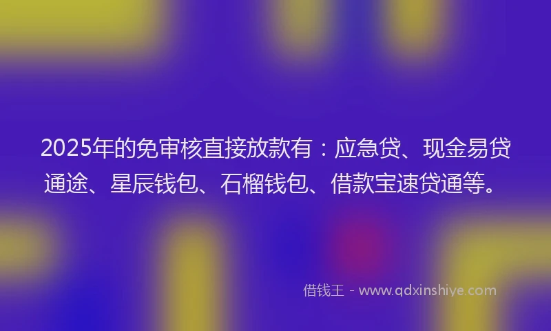 2025年的免审核直接放款有：应急贷、现金易贷通途、星辰钱包、石榴钱包、借款宝速贷通等。