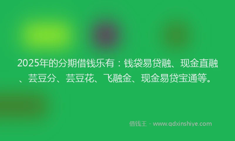 2025年的分期借钱乐有：钱袋易贷融、现金直融、芸豆分、芸豆花、飞融金、现金易贷宝通等。