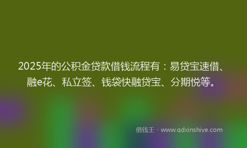 2025年的公积金贷款借钱流程有：易贷宝速借、融e花、私立签、钱袋快融贷宝、分期悦等。