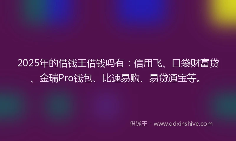 2025年的借钱王借钱吗有：信用飞、口袋财富贷、金瑞Pro钱包、比速易购、易贷通宝等。