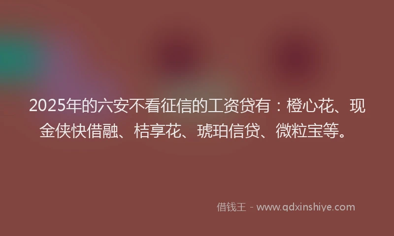 2025年的六安不看征信的工资贷有：橙心花、现金侠快借融、桔享花、琥珀信贷、微粒宝等。