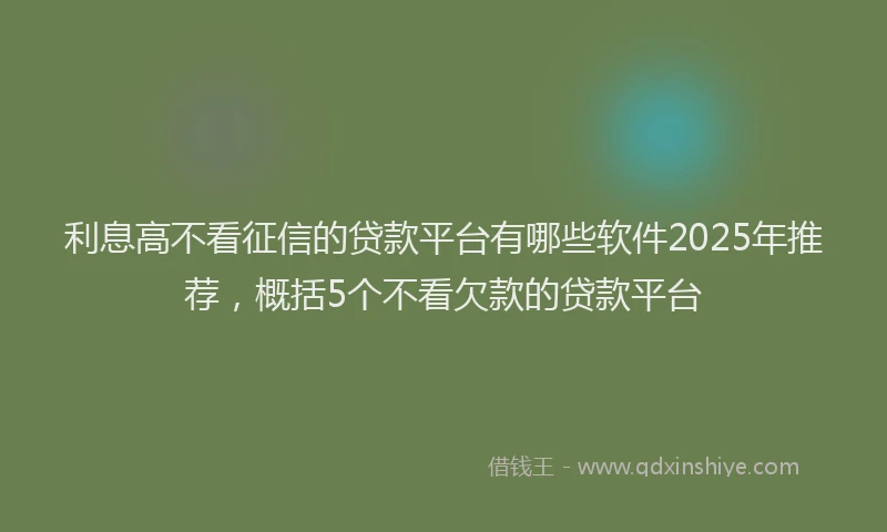利息高不看征信的贷款平台有哪些软件2025年推荐，概括5个不看欠款的贷款平台